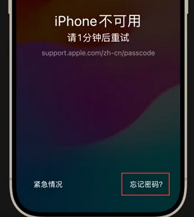 潮阳苹果手机密码维修分享iPhone忘记了刚设置的密码 