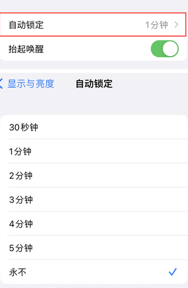 潮阳苹果换屏维修分享无法调整iPhone自动锁屏的时间怎么办