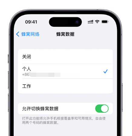 潮阳苹果维修服务分享如何在iPhone上使用双卡 